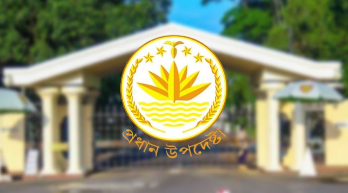 Interim Government